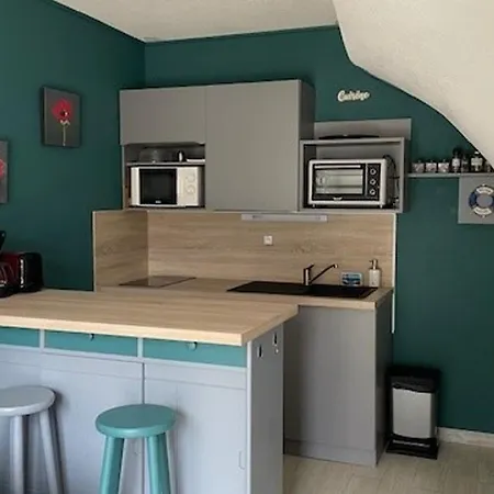 Maisonnette A Barbatre, Proche Plage, Animaux Admis, 2-4 Pers. - Fr-1-823-118 * Barbâtre