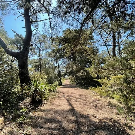 Maisonnette A Barbatre, Proche Plage, Animaux Admis, 2-4 Pers. - Fr-1-823-118 Сasa de vacaciones *